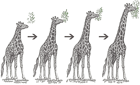 Teoría Transformista-Lamarckista o Transformismo-Lamarckismo-Jean Baptiste Pierre Antoine de Monet Chevalier de Lamarck