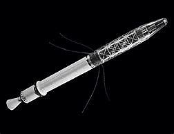 Explorer 1 was launched into space