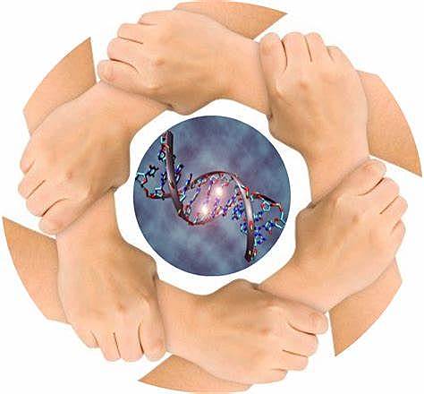 Universidad Católica Nordestana crea centro de Bioética