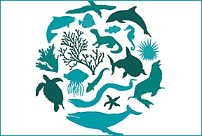 Dia internacional de la Diversidad Biológica