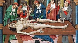 Timeline: terapias naturales