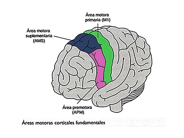 De 0 años en adelante.
