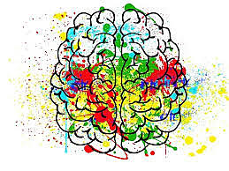 De 0 años en adelante.