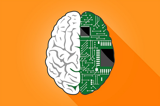 Memoria y maduración cerebral.