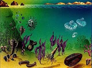 PRIMERS PLURICEL·LULARS