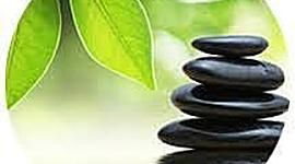 Timeline: Fase 1- Linea de tiempo