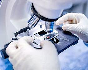 IL VACCINO CONTRO IL COVID-19