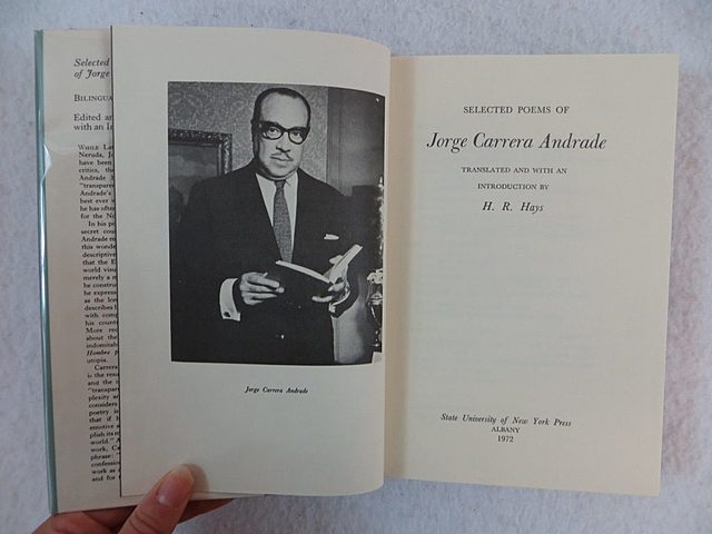 Vocación terrena (1972)