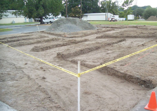 The Garden Gets It Shape