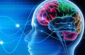 De 3 años en adelante.