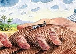 Las Concentraciones de Tierras