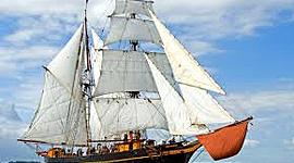 Timeline: MY JOURNEY