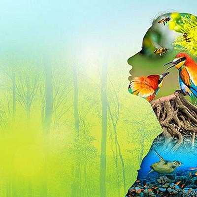 Timeline: ΤΑΞΙΝΟΜΗΣΗ ΟΡΓΑΝΙΣΜΩΝ