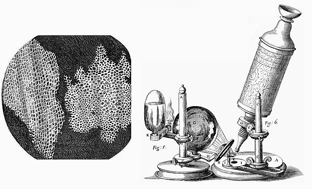 Aportes de Robert Hooke