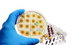 Timeline: Avance Científico: "Descubrimiento de la penicilina e invención de los antibióticos"