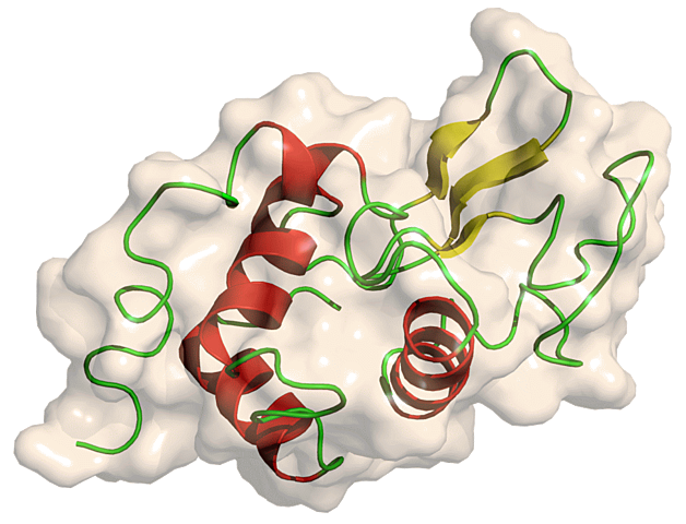 Los primeros antibióticos