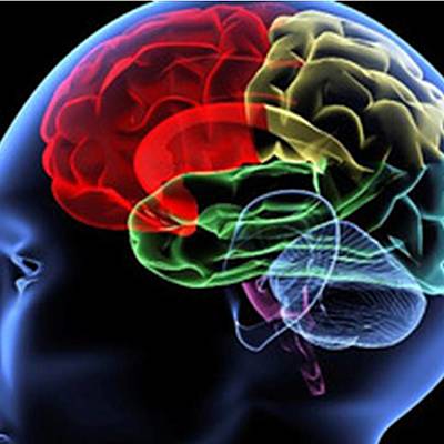 Timeline: La Neuropsicología en el tiempo