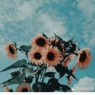 Timeline: Mi Historia de Vida