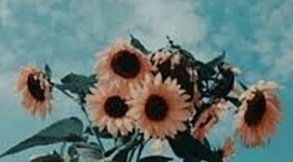 Timeline: Mi Historia de Vida