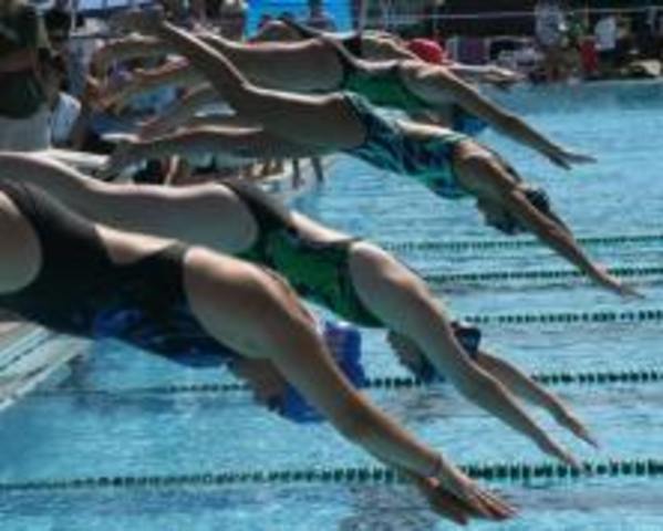Started Competitive Swimming