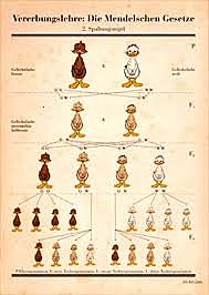 Publicación de las leyes de mendel