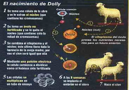 Nacimiento de la Oveja Dolly