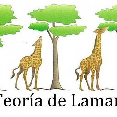 Timeline: Teorías Evolutivas Ingrid Monserrat Muñoz Arellano 3ro C