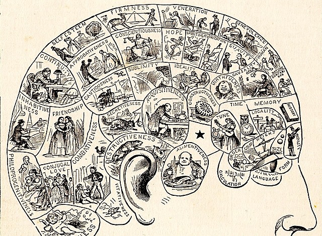 Teorías Frenológicas