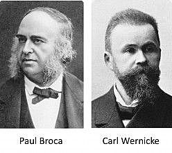 Figuras en la historia de la Neuropsicología