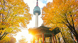 Timeline: Actividades