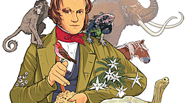 Timeline: TEORÍAS EVOLUTIVAS