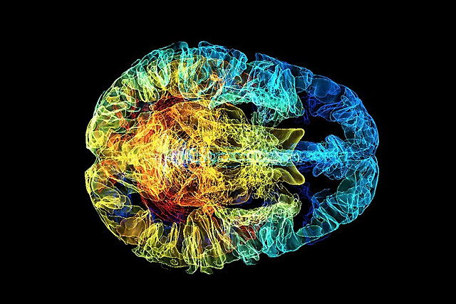 Neuropsicología de orientación Neurológica