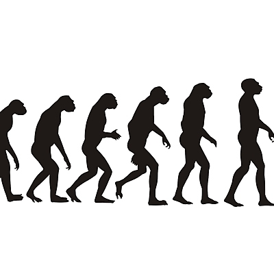 Timeline: “Teorías evolutivas”
