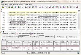 VENTA DEL PRIMER SOFTWARE ONLINE