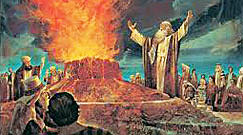 etapa de la divisió