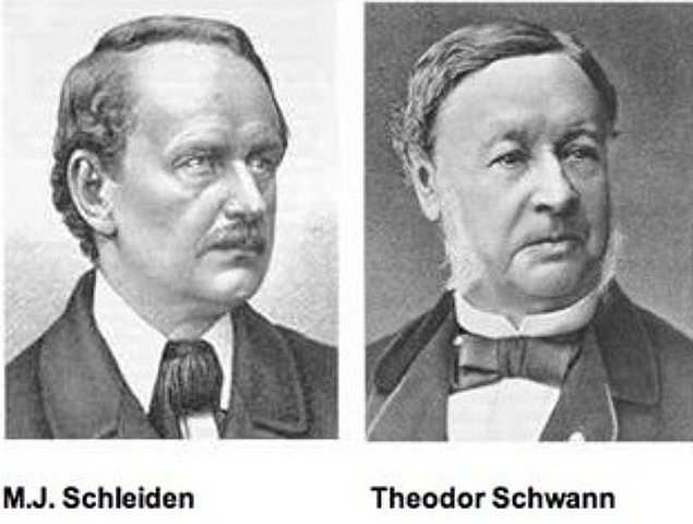 Schleiden y Schwann