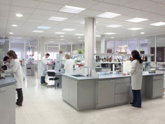 PRIMEROS LABORATORIOS ESTANDAR