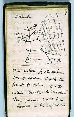 Primer cuaderno de notas