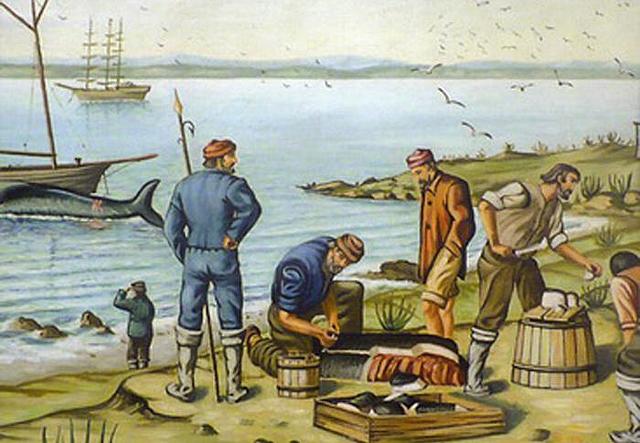Arrivée des pêcheurs et des Baleiniers européens