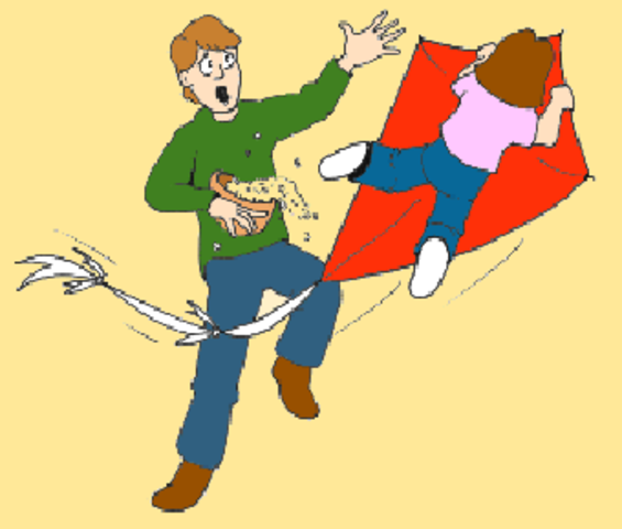 She flew right into an open window and through a living room where a man sat eating pop-corn