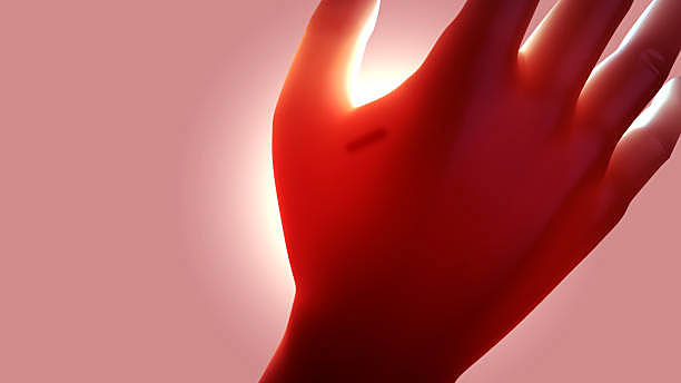 GPS microchip introduced