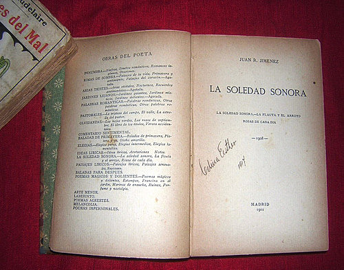 La soledad sonora