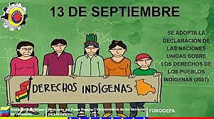 Declaracion de la ONU sobre los derechos indigenas
