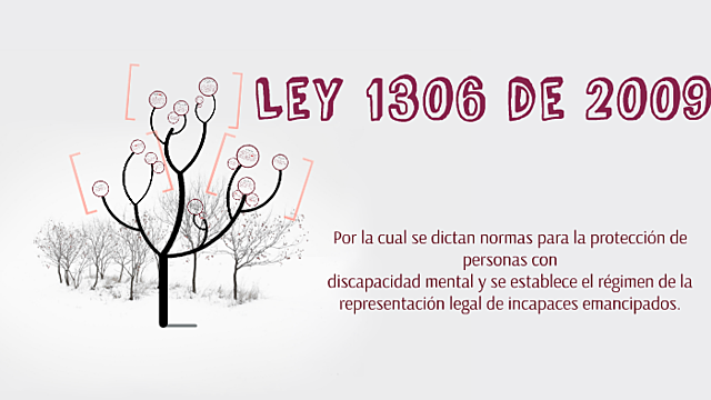 Proteccion a personas con discapacidad mental