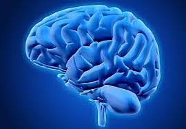 Neuropsicología de orientación psicológica