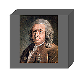 Carlos Linneo (1707-1778)