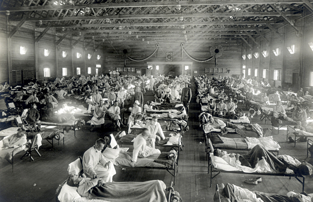 Spanish Flu (1918-1920)