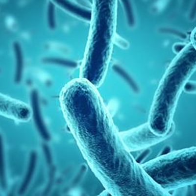 Timeline: The Worst Pandemics in History (according to After School)