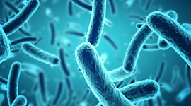 Timeline: The Worst Pandemics in History (according to After School)