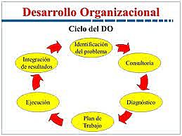 Teoria Desarrollo Organizacional.